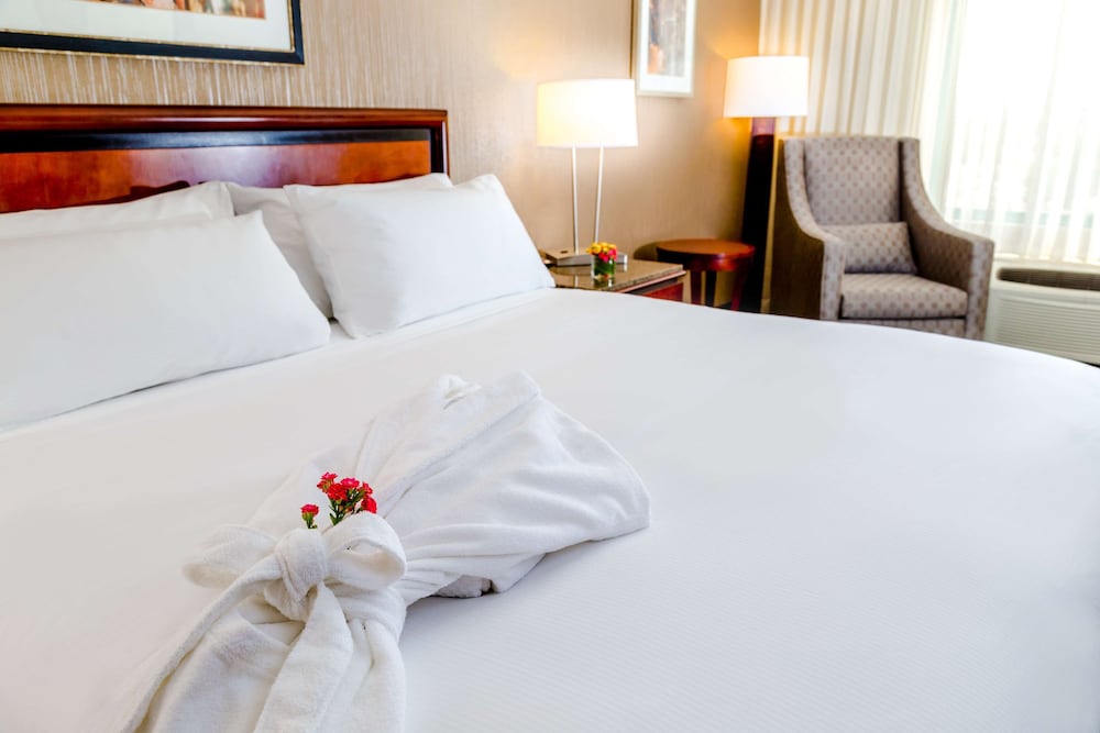 Doubletree By Hilton Las Vegas Airport 15/59