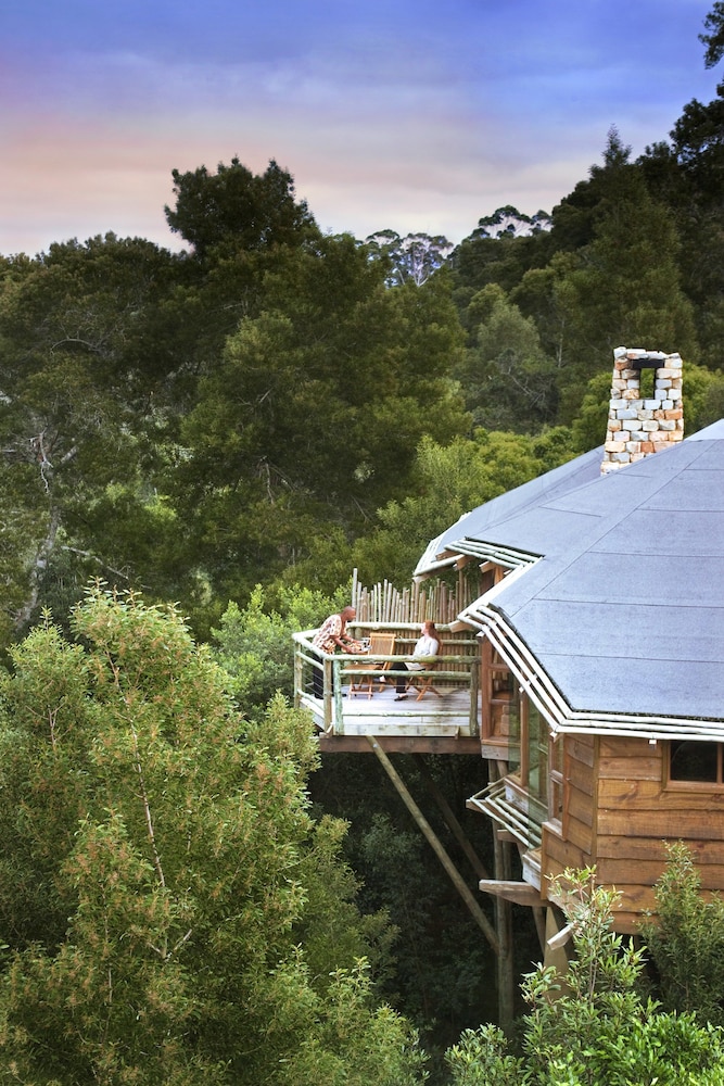 Tsala Treetop Lodge 46/50