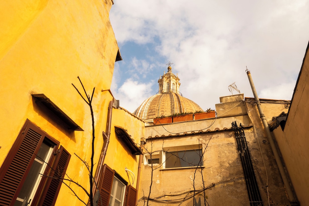 Wonder Lovely Navona 47/50