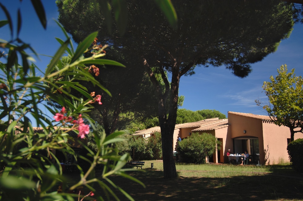 Saint Loup 12/49