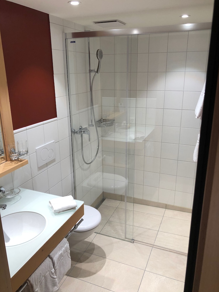 Hotel Alpenrose Wengen 41/44