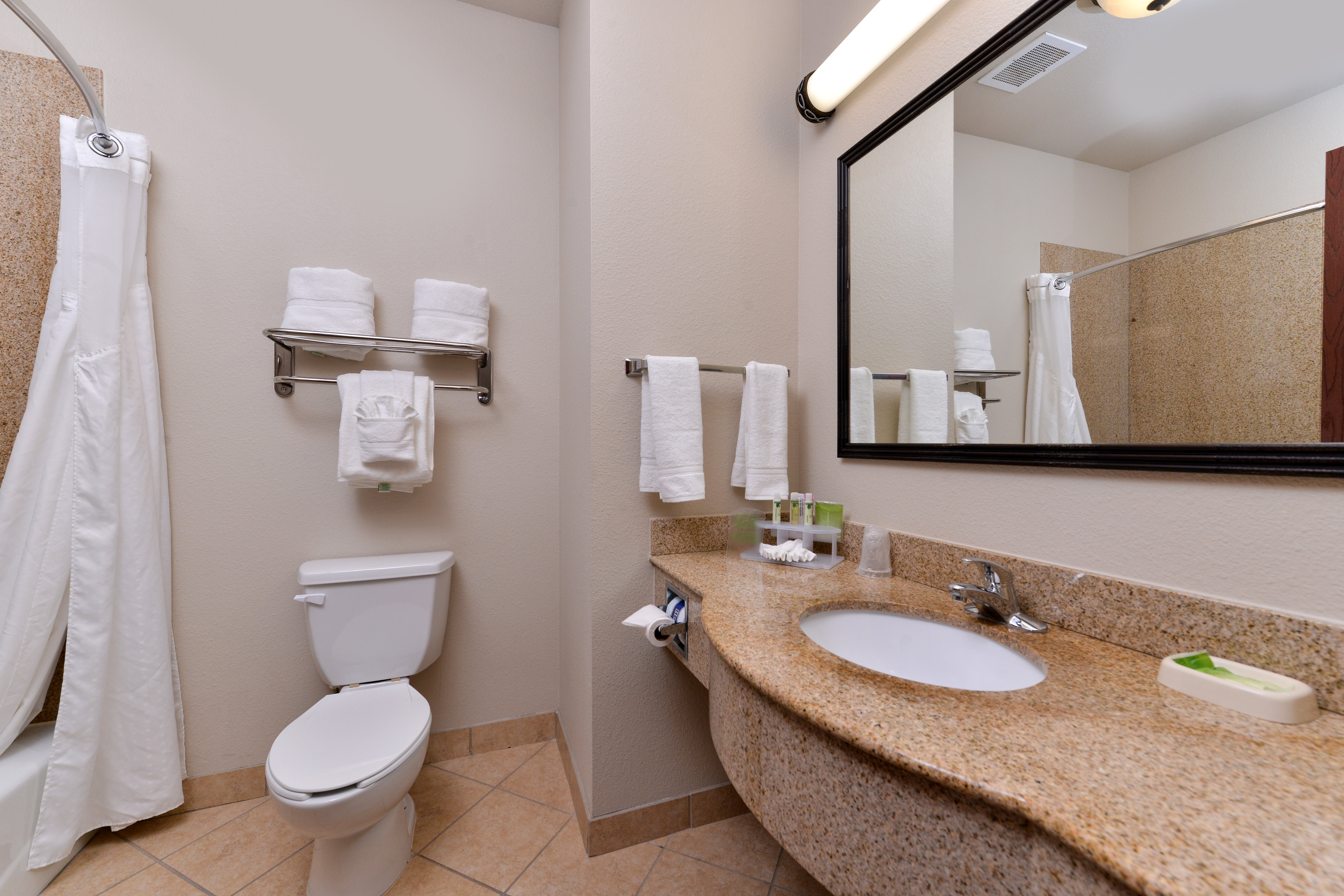 Leisure, King Bed، Holiday Inn Express Hotel Suites Sherman Hwy 75 4/4