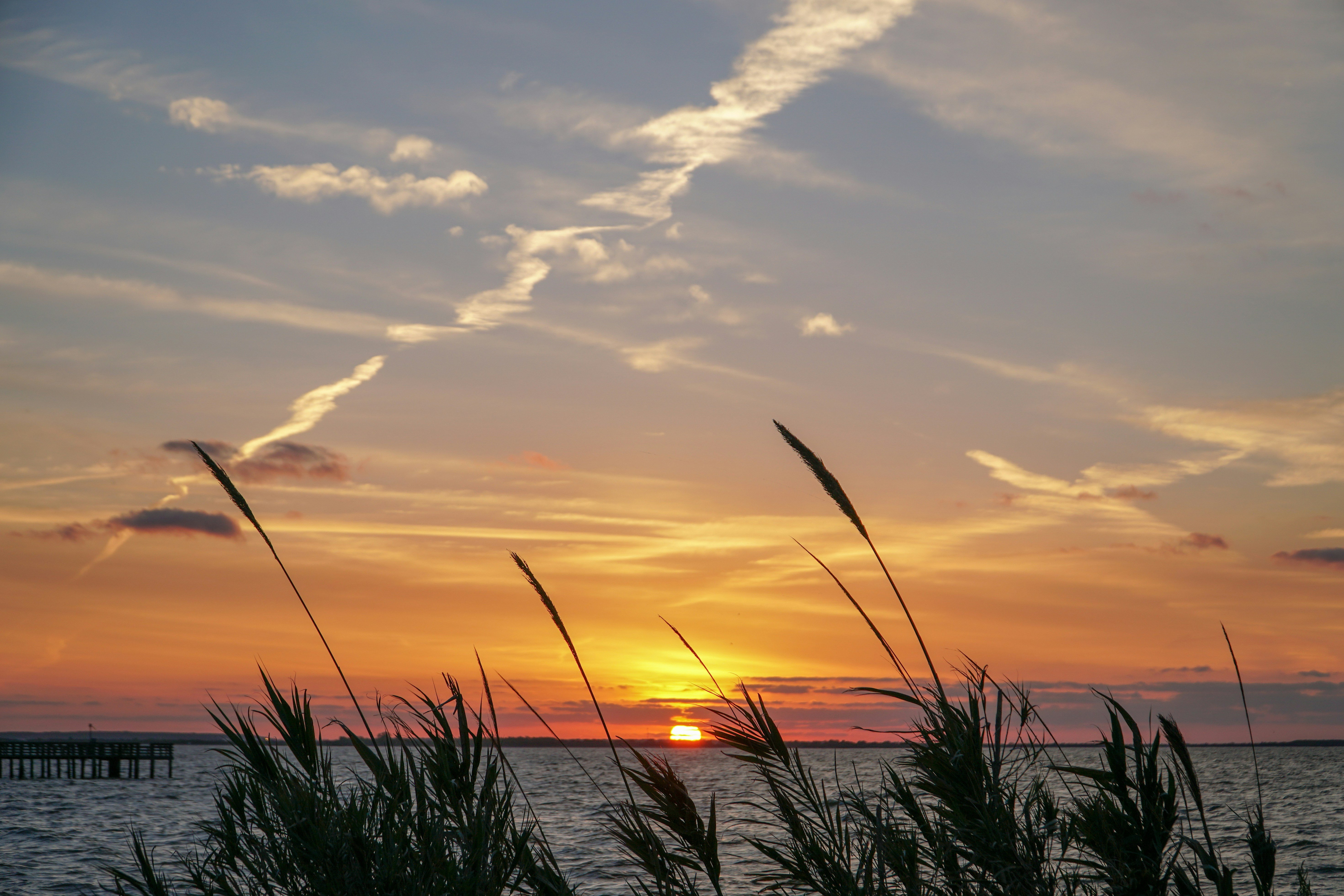 Atwell Suites Corpus Christi Southeast by IHG 31/31