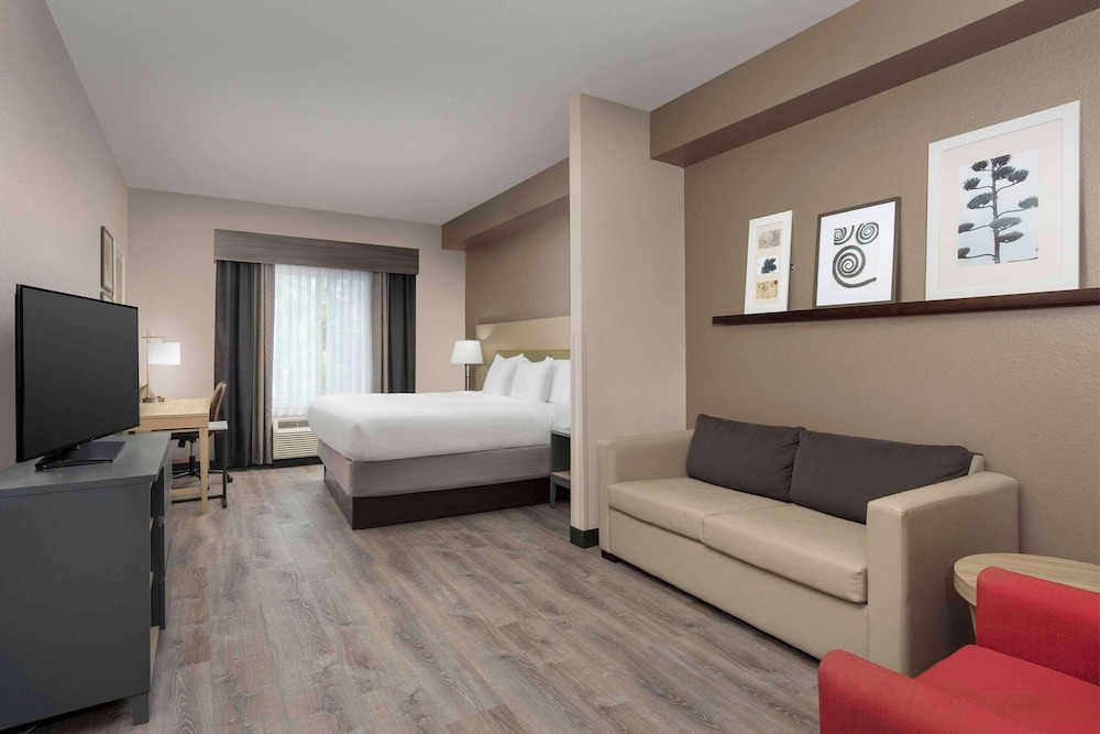 Studio, Suite, King Bed, Sofa, Accessible