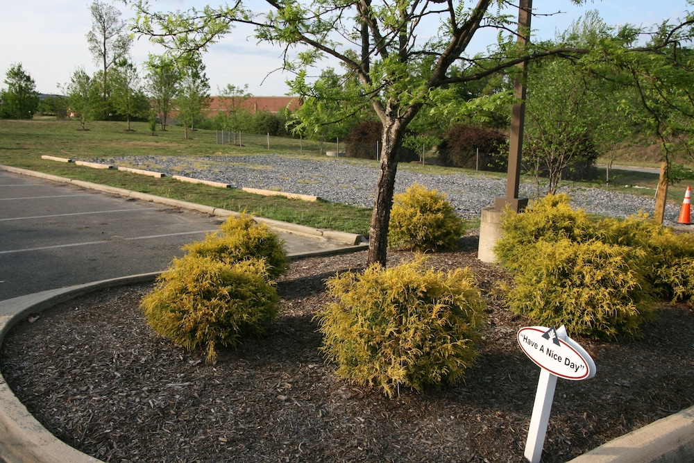 surroundings