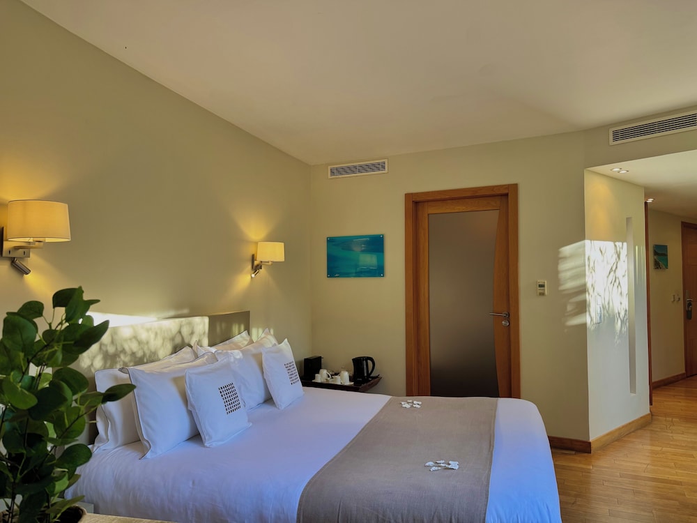 Cannes Villa St Barth 13/50