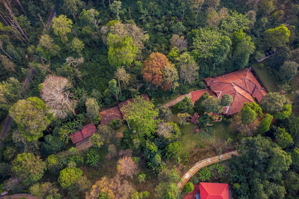 Ama Stays And Trails Rare Earth Estate 31/57
