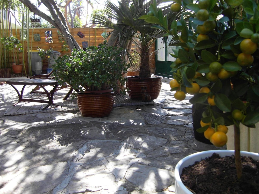 Cielito Lindo 22/30