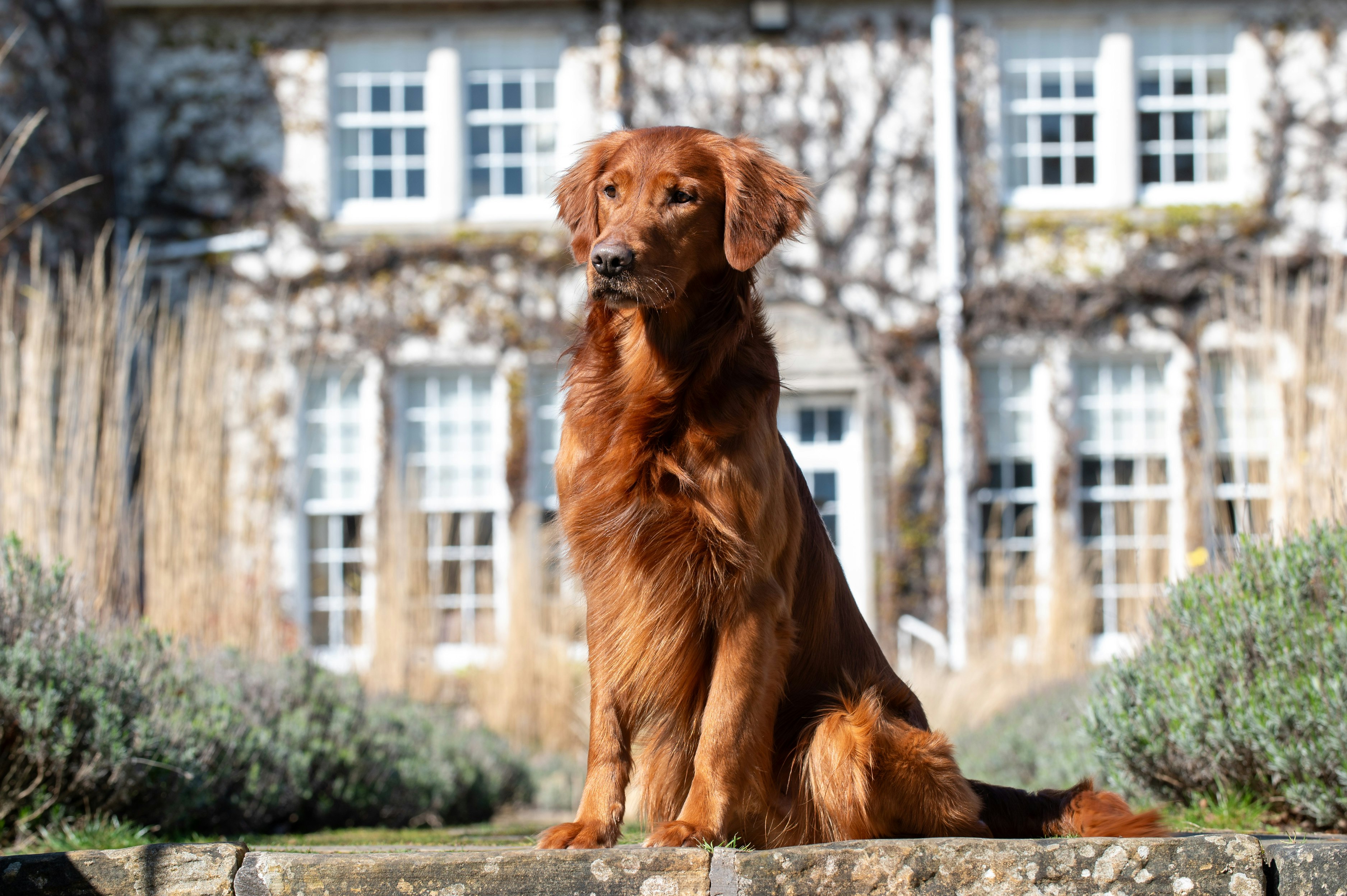 Rufflets Country House 39/40