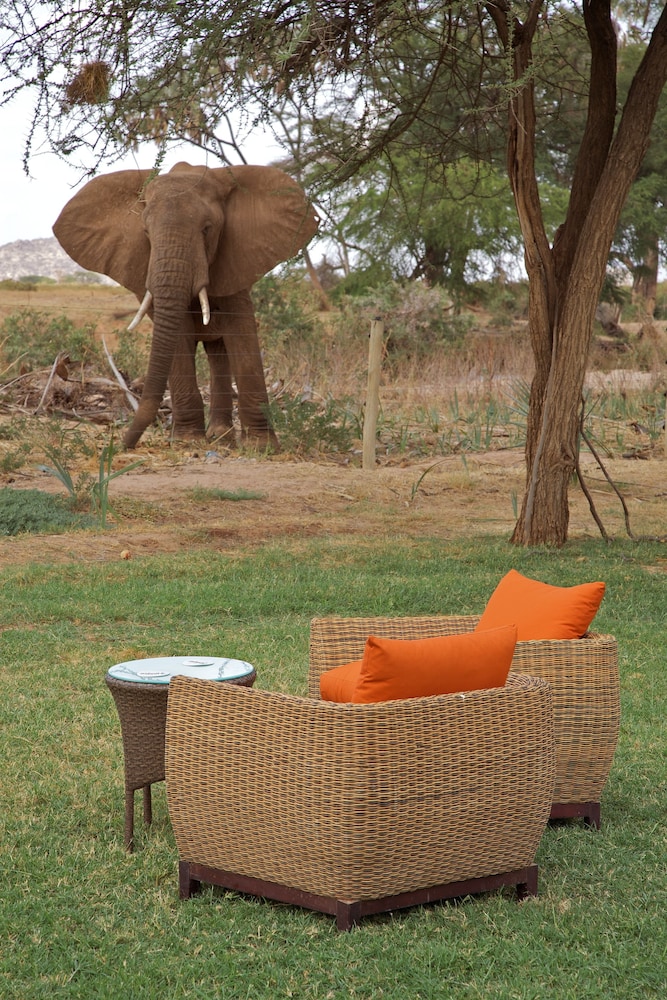 Ashnil Samburu Camp 18/50