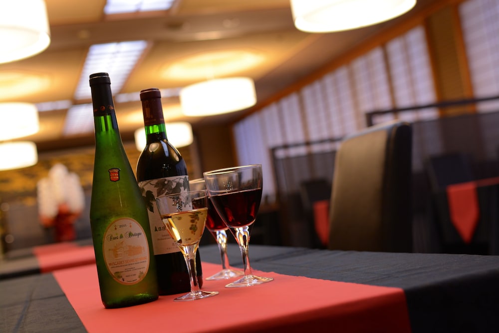 Hotel Binario Saga Arashiyama 41/67