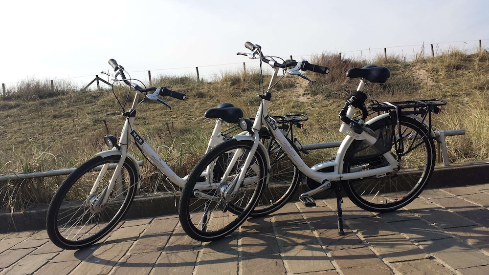 Two Brothers Noordwijk Beach 27/50