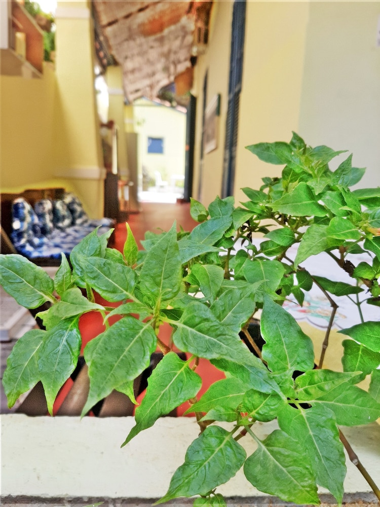 Brasileranza Hostel 38/50