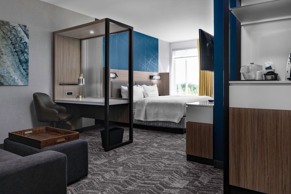 SpringHill Suites by Marriott Winchester 44/45