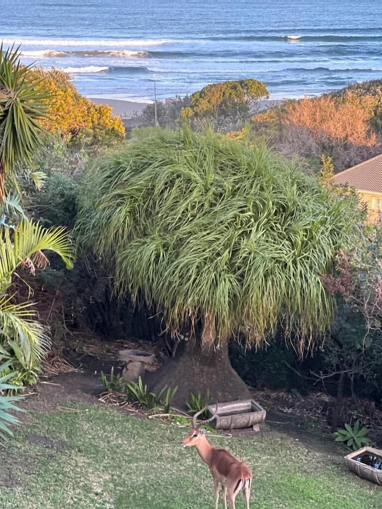 Cove View B&B 38/50