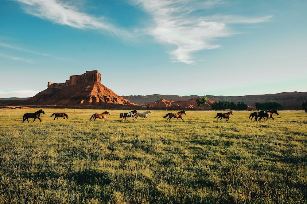 Sorrel River Ranch Resort And Spa 42/50