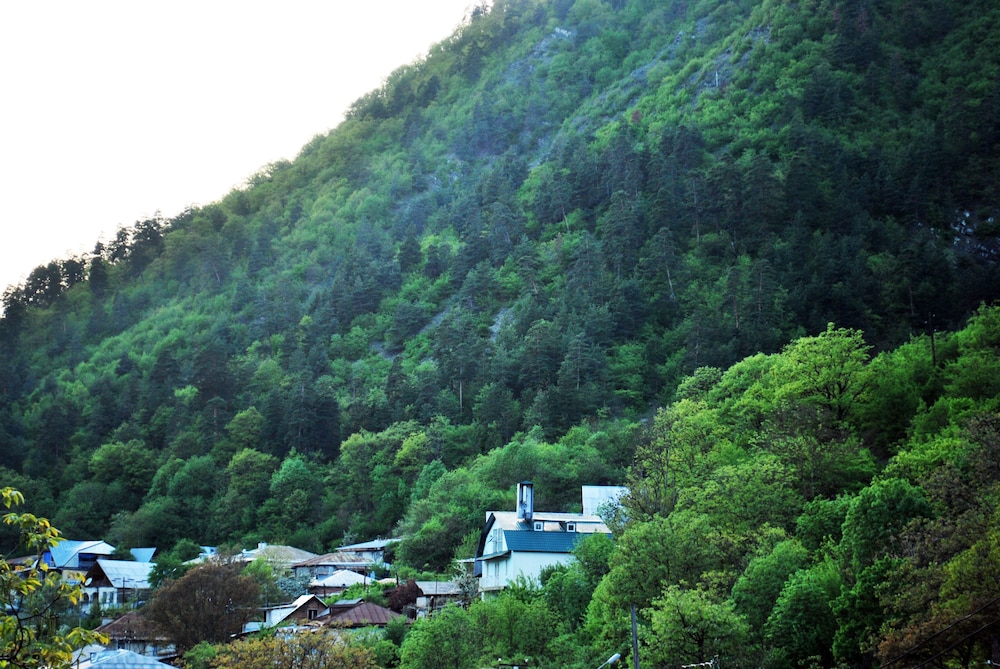 Hotel Old Borjomi 46/50