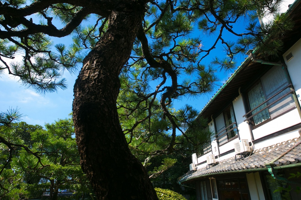 Ryokan Wataya 24/24