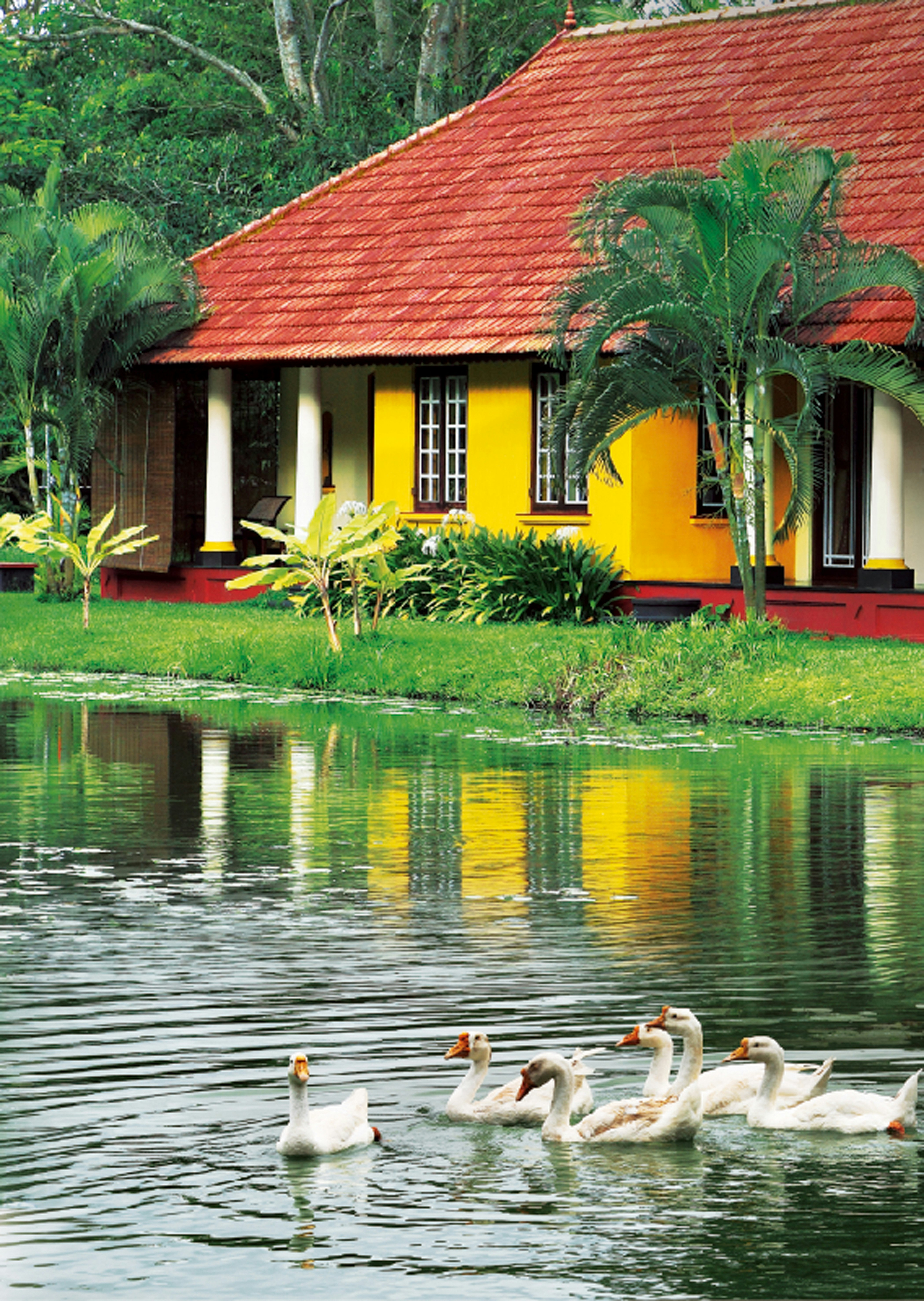 Taj Kumarakom Resort & Spa, Kerala 29/46