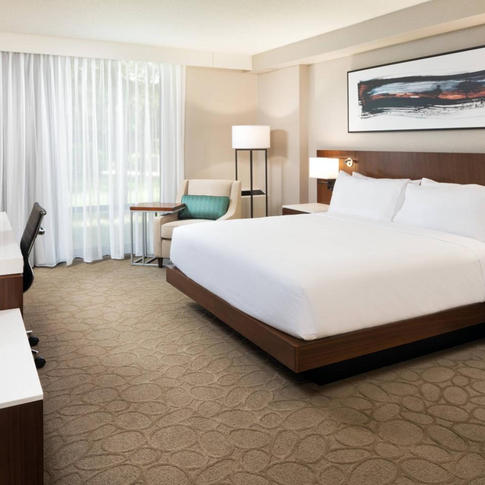 Guest Room, King Bed