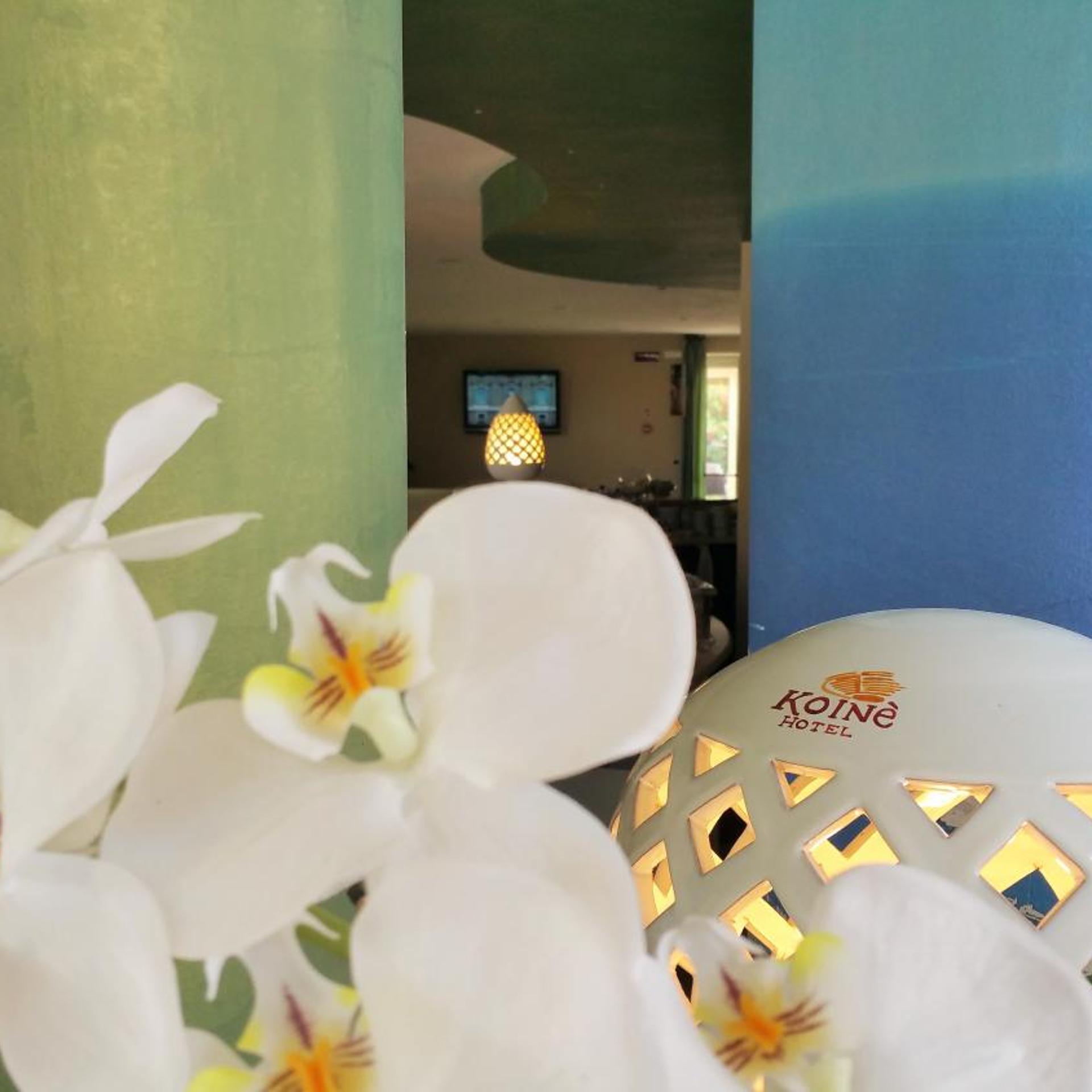 HOTEL KOINE OTRANTO 14/54