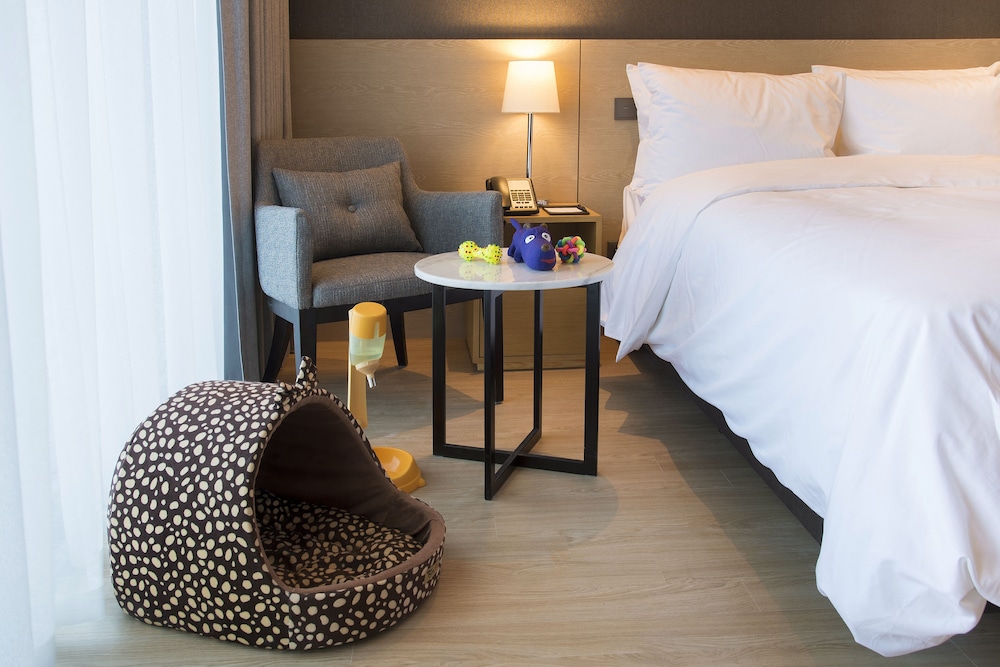 غرفة بسرير مزدوج يُسمح فيها بالحيوانات الأليفة، St. John's Hotel 4/5