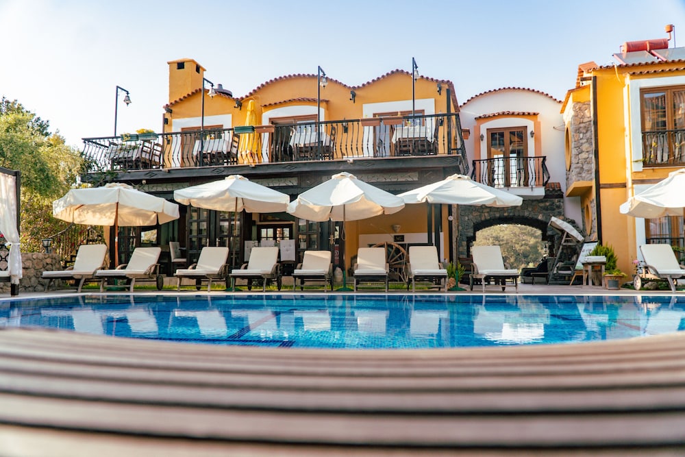 The Olive Tree Studios - Adults Only 6/50