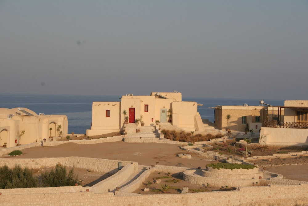 The Oasis 54/61