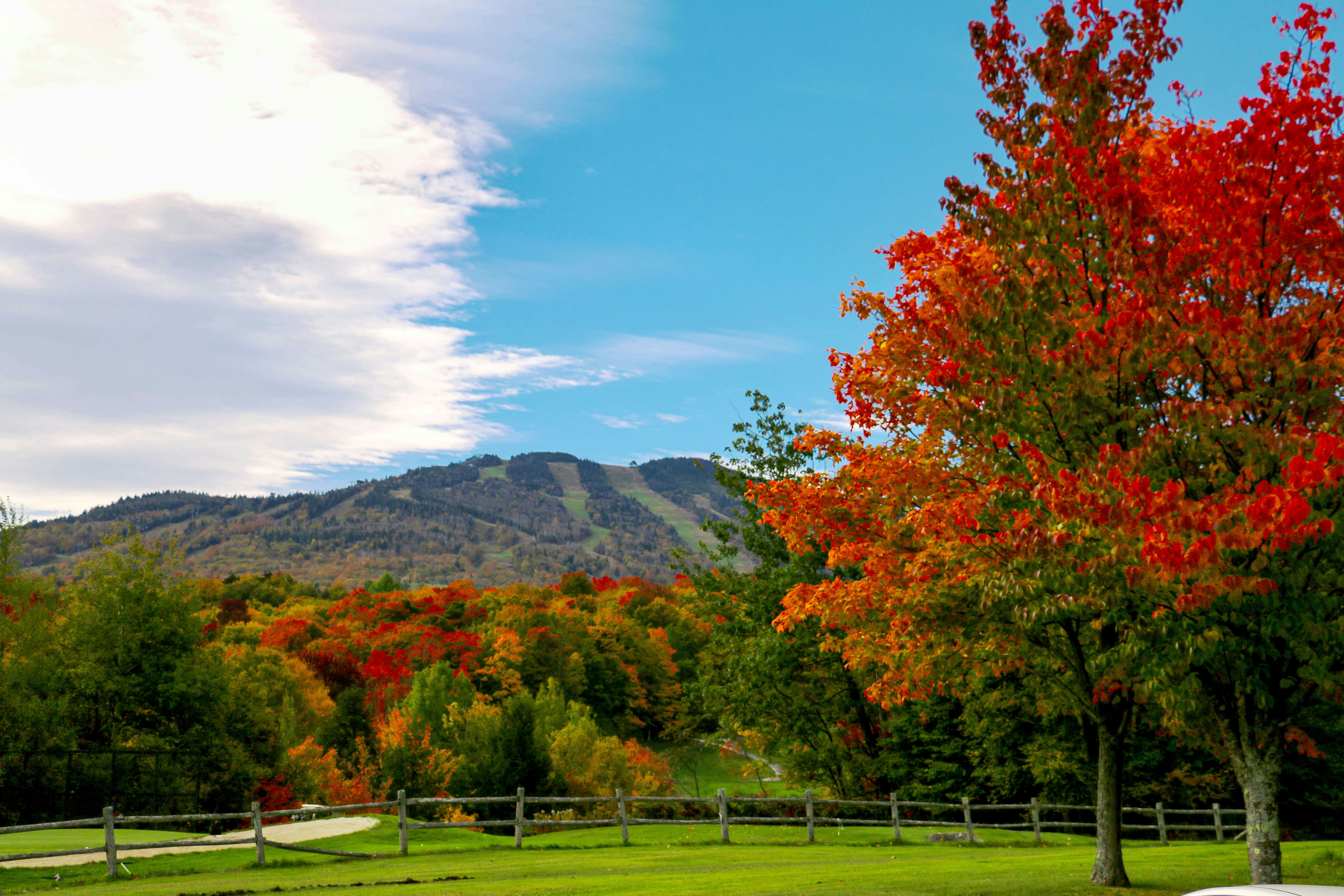 Killington Mountain Lodge, Tapestry Collection by Hilton 29/33