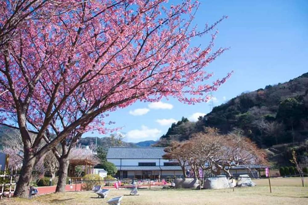 Hotel Laforet Shuzenji 11/72