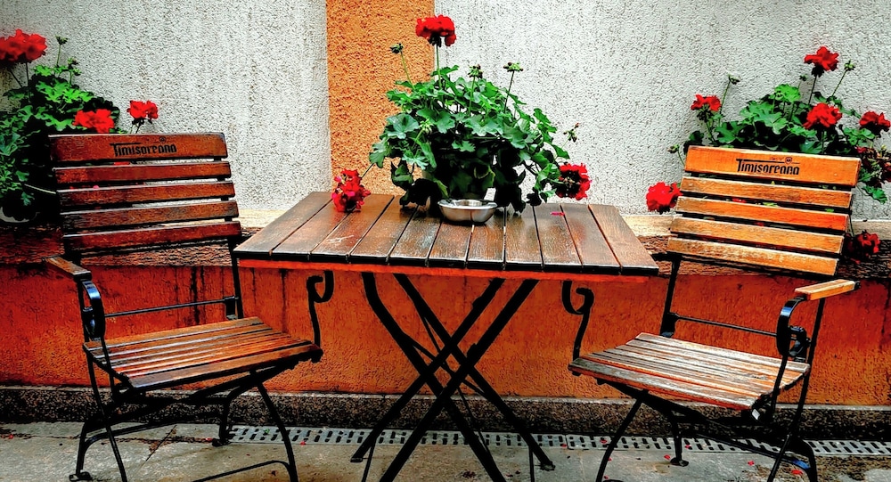 Bucur 9 4/33