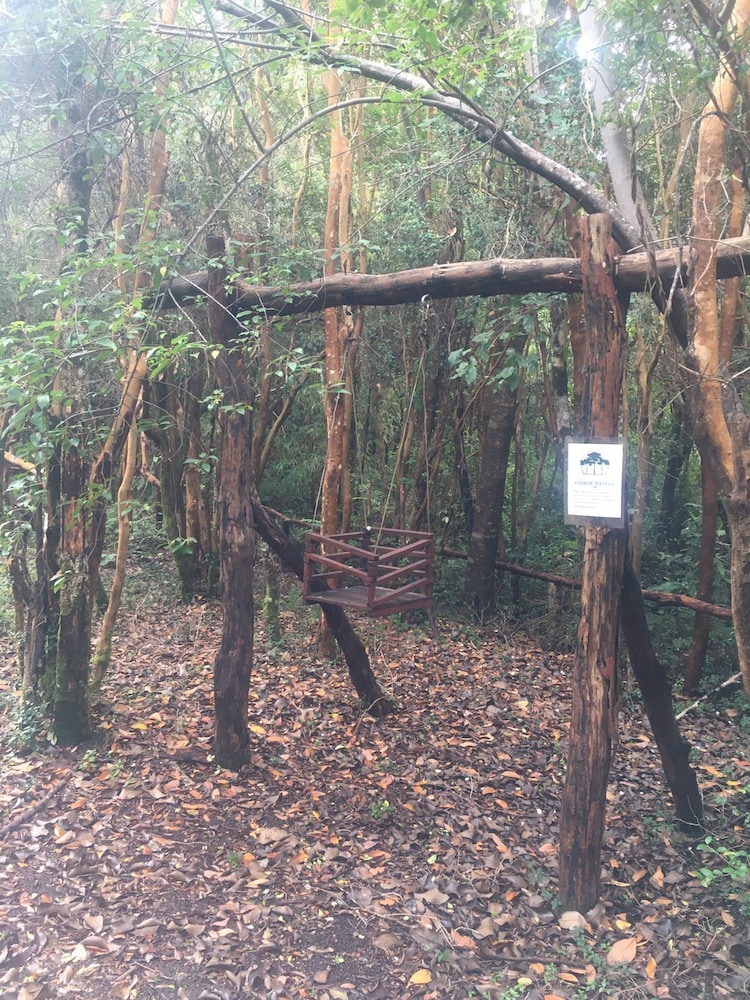 Cabanas Anulen Bosque Nativo 41/49