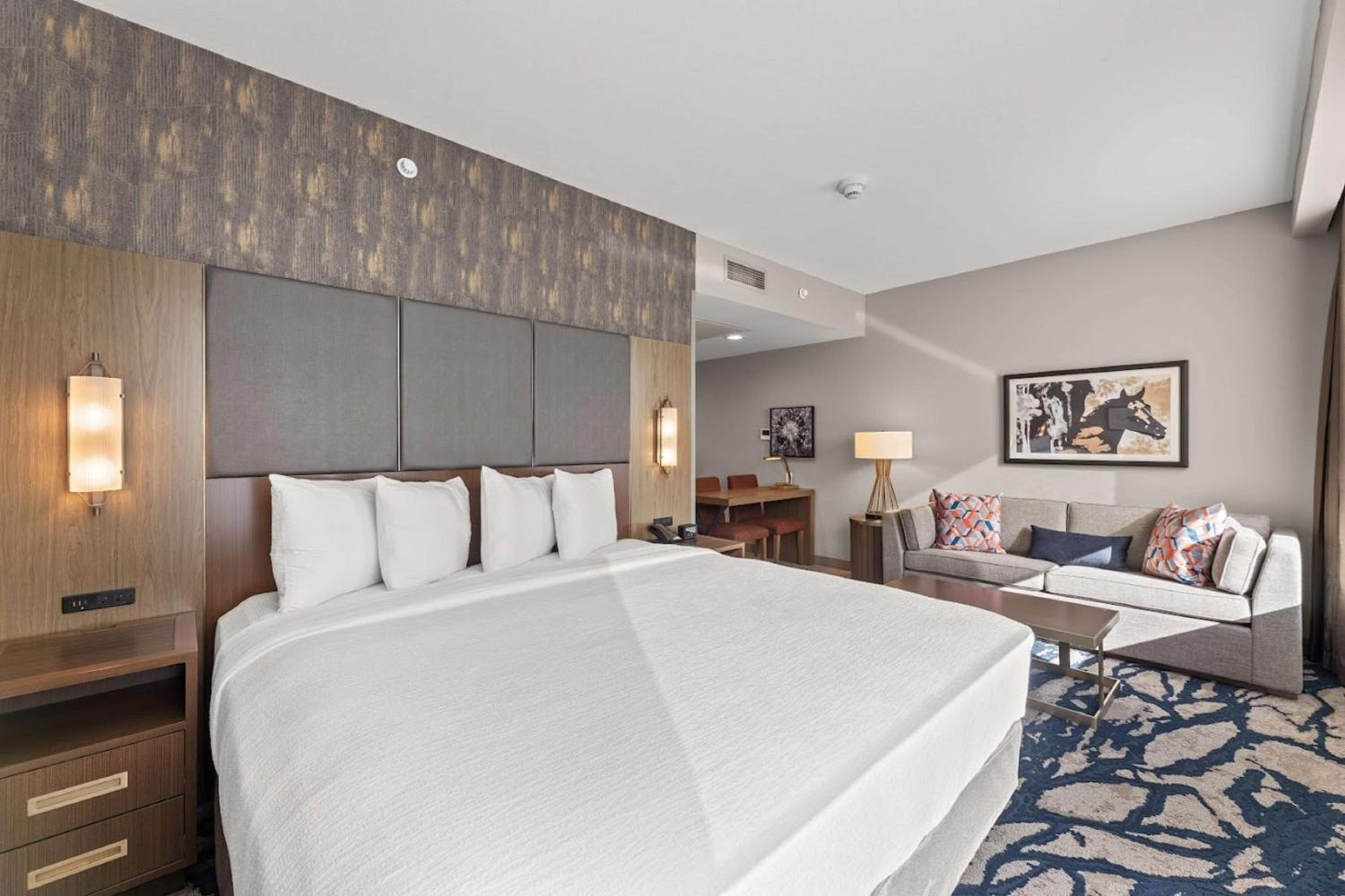 STUDIO, SUITE, KING BED, ACCESSIBLE