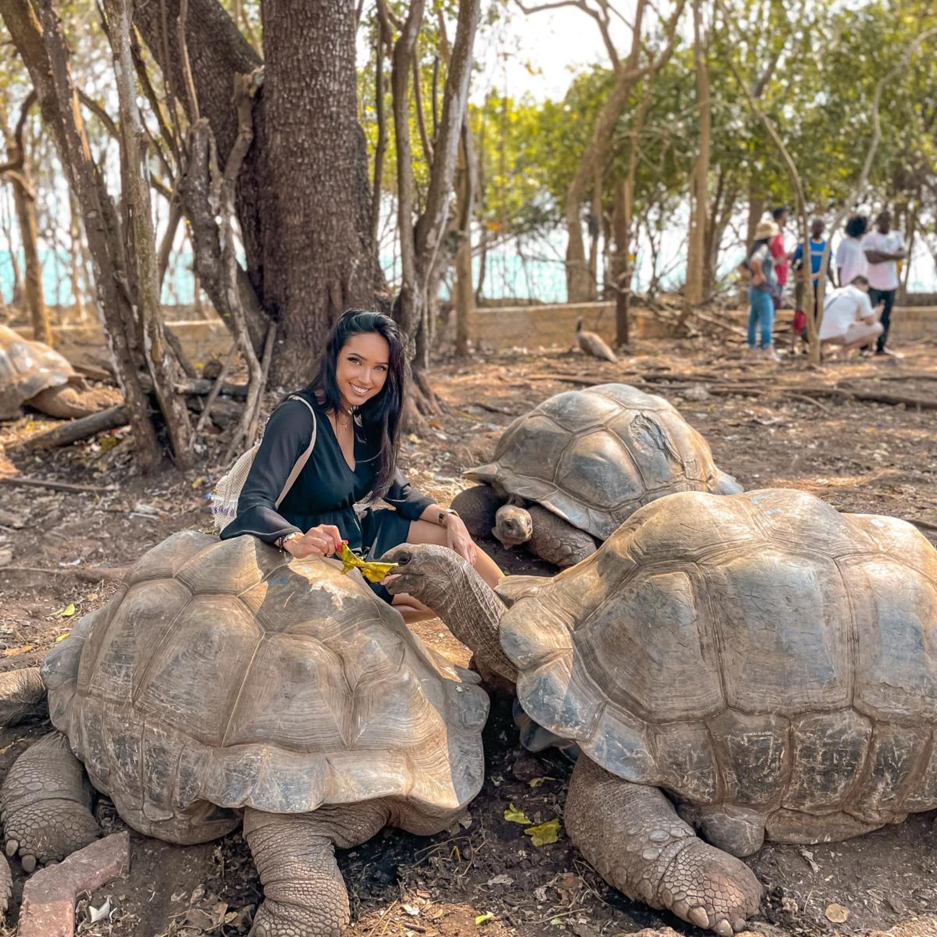 Karibu Beach Resort 23/58