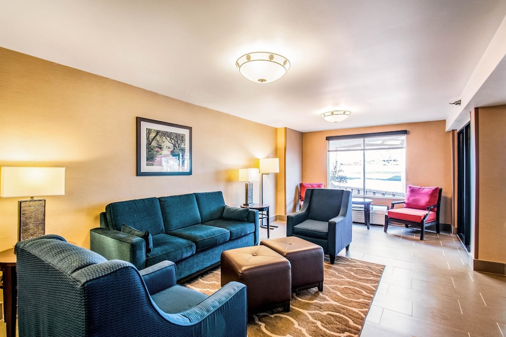 Comfort Inn Falls Church - Tysons Corner 21/35
