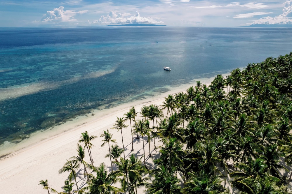Oceanica Resort Panglao 67/77
