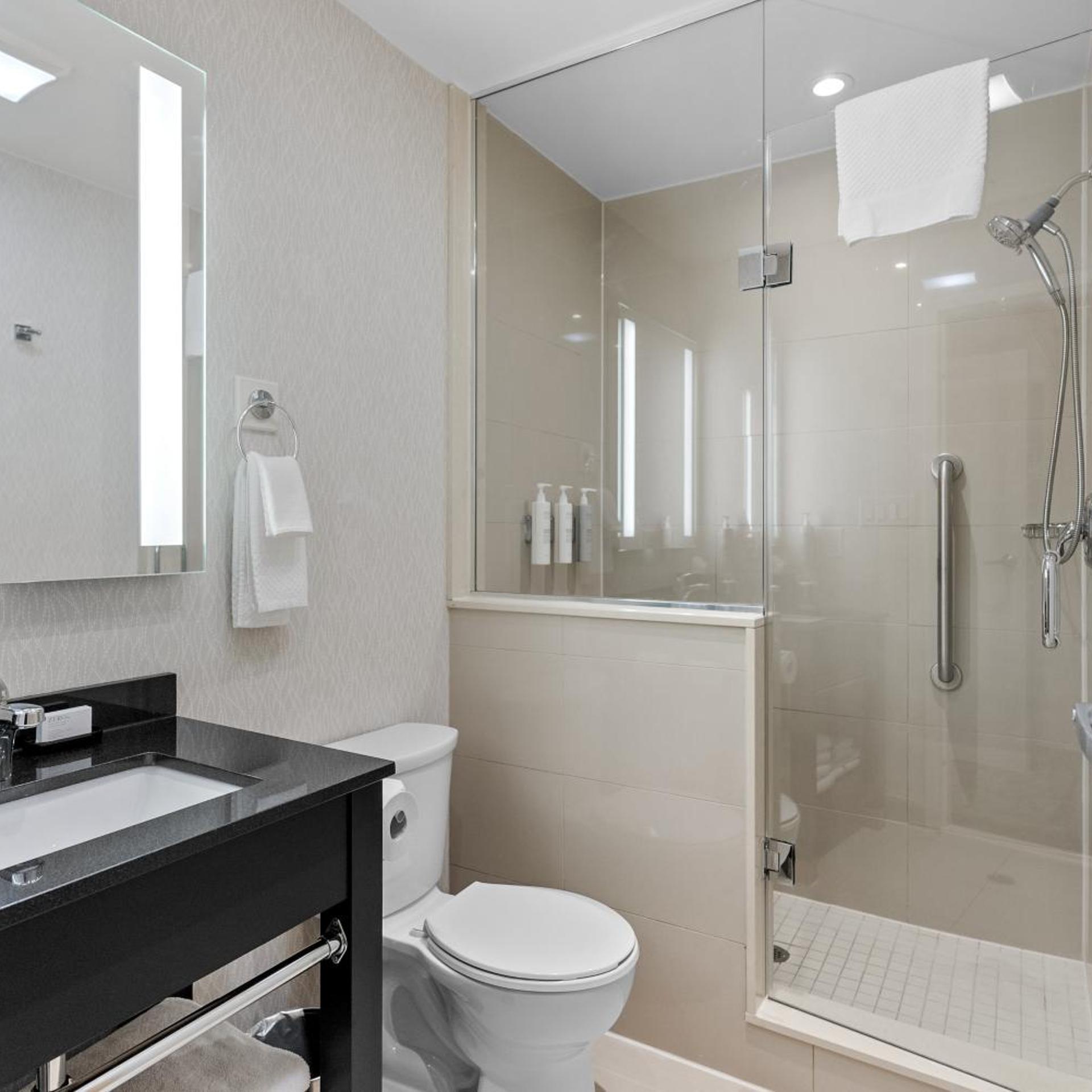 Suite, Queen Bed, Canadian Us Falls View، Embassy Suites By Hilton Niagara Falls Fallsview 3/5