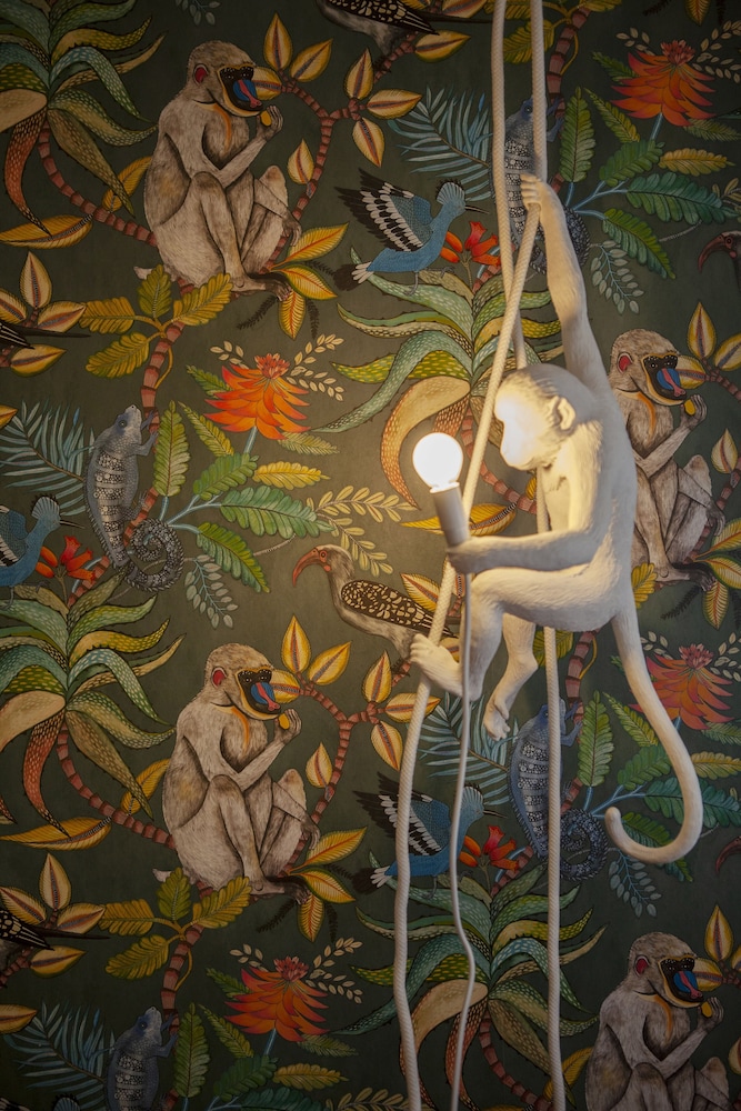 Ca Della Scimmia photo5