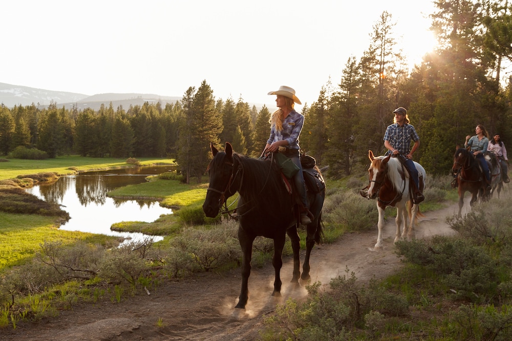 Headwaters Lodge And Cabins At Flagg Ranch 24/55