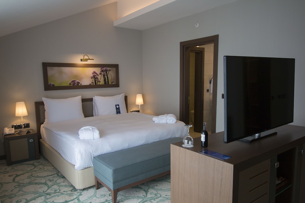 Radisson Blu Ordu 19/67