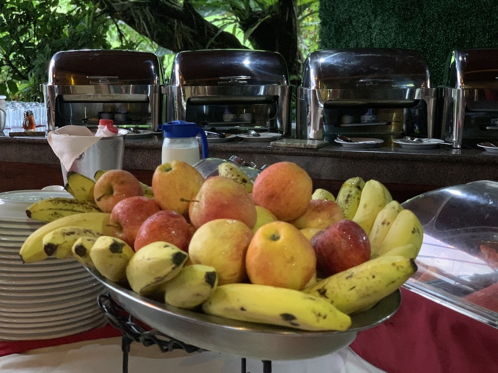 Arenal Volcano Inn 40/69