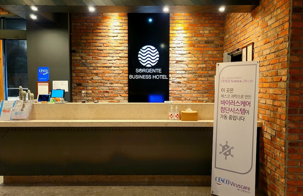 Sorgente Business Hotel photo5