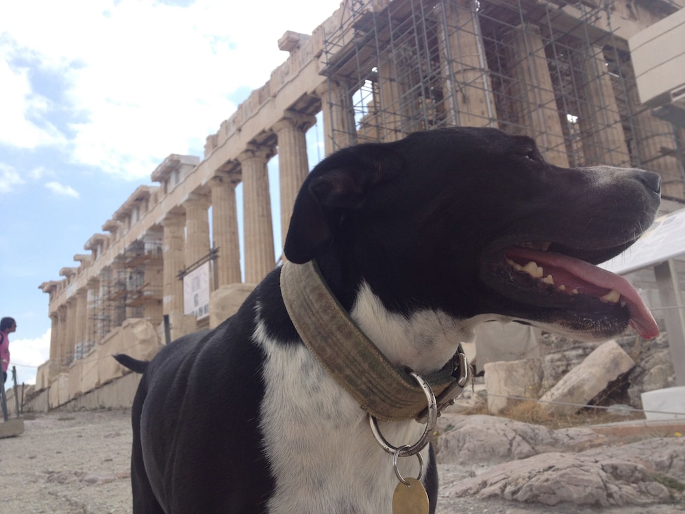 Athens Backpackers 40/44