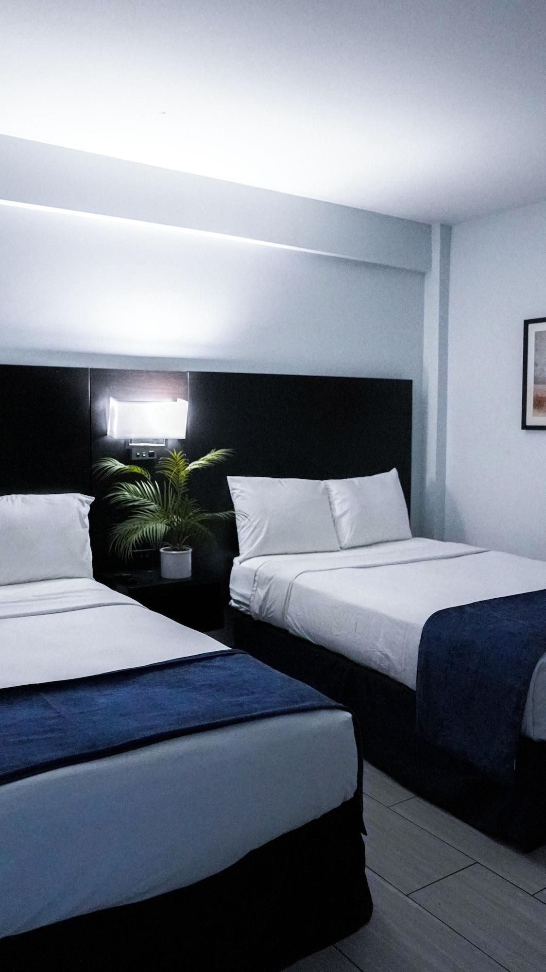 Deluxe, Suite, Ocean Front