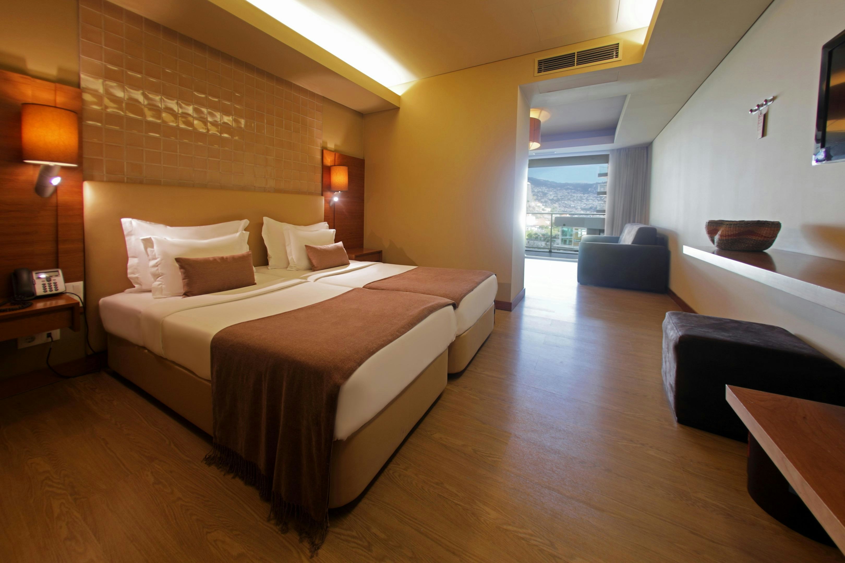 Studio, Twin Beds, Mountain View