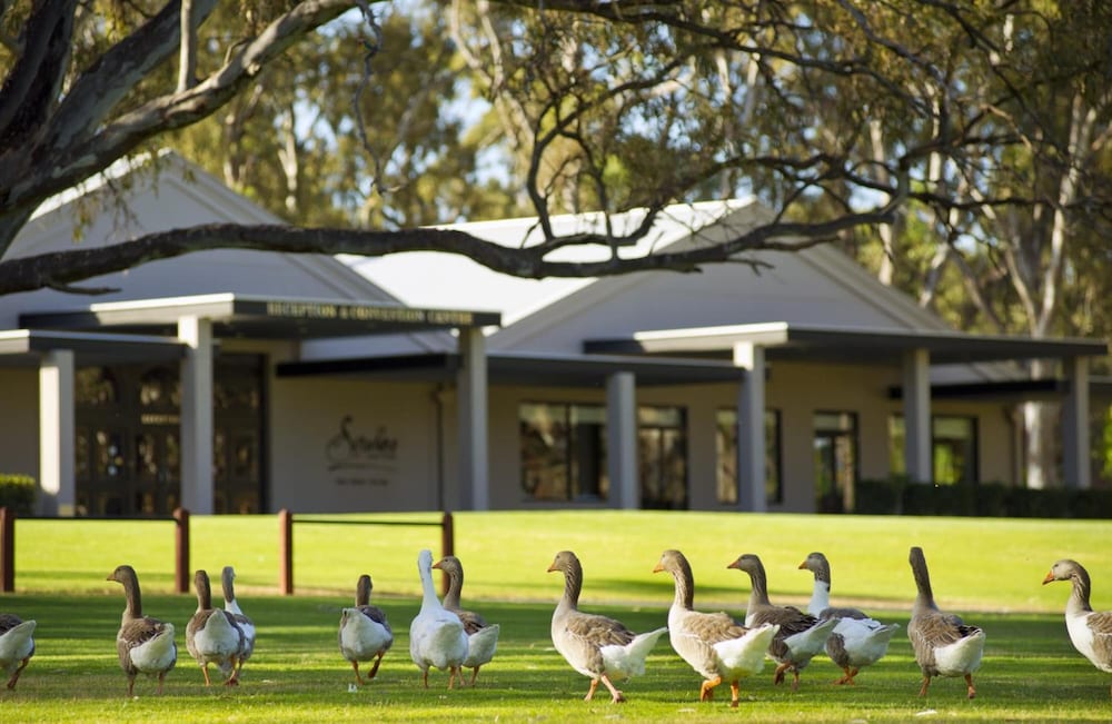 Serafino Mclaren Vale 5/52