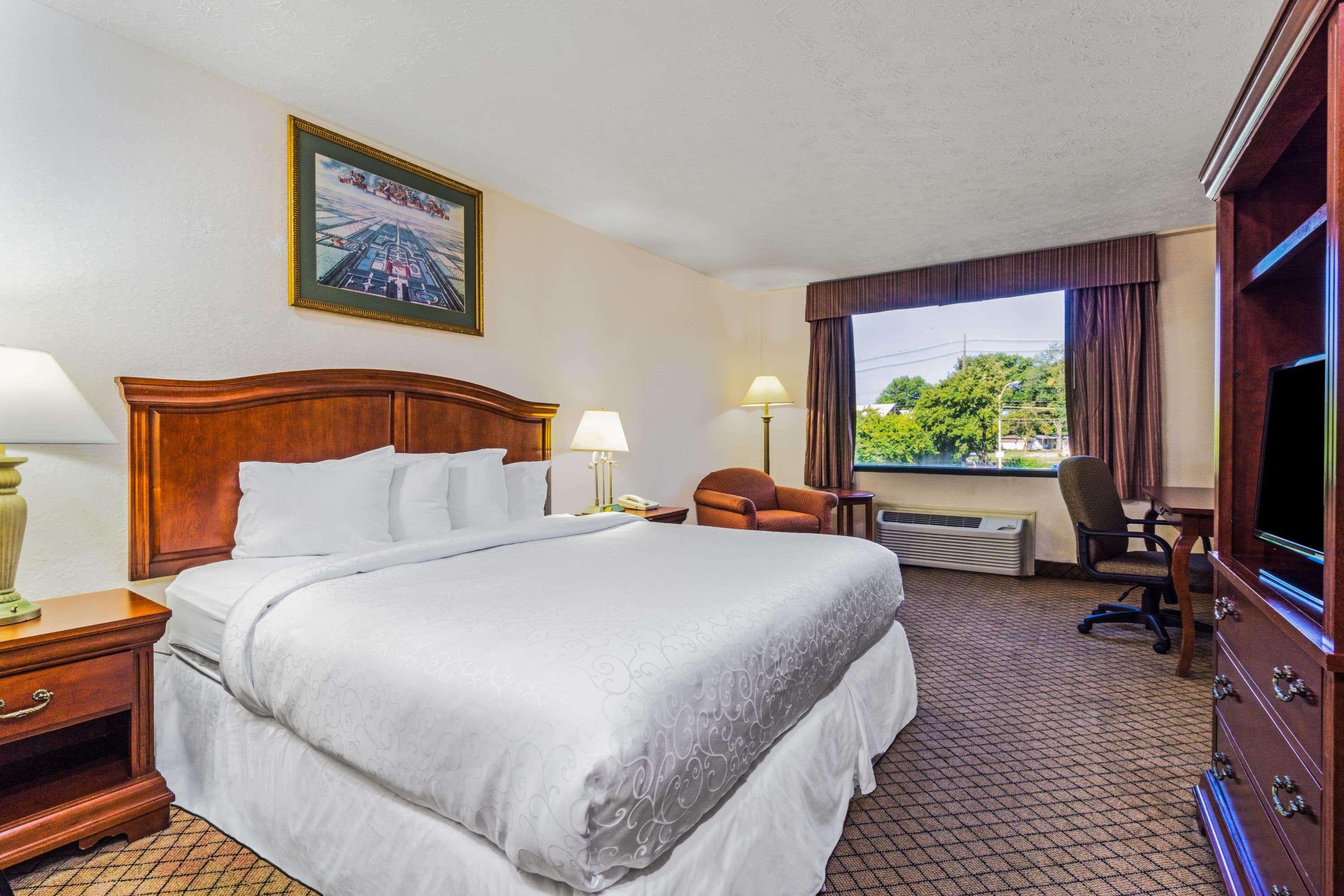 Superior, King Bed