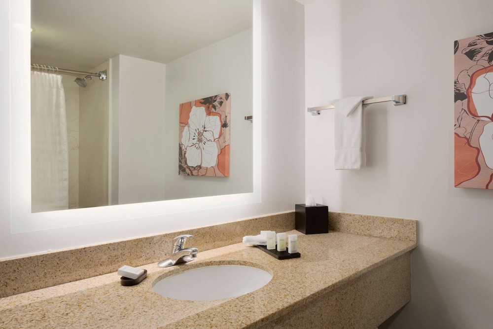 Embassy Suites By Hilton Denver International Airport 27/62