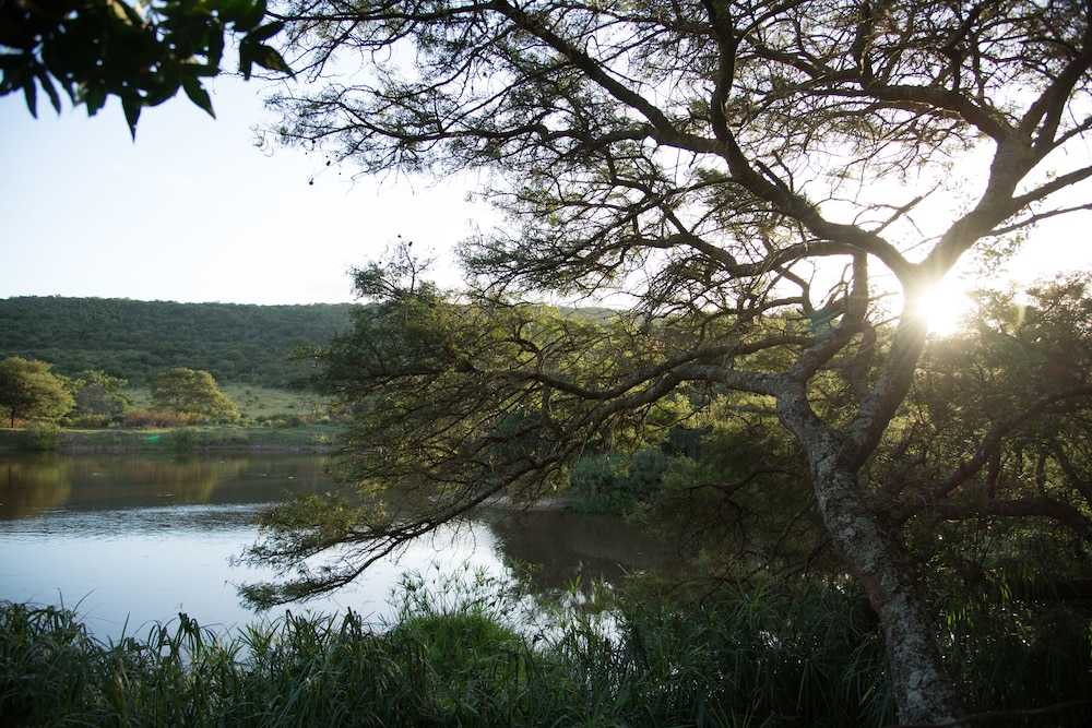 PREMIER RESORT MPONGO PRIVATE GAME RESERVE 43/50