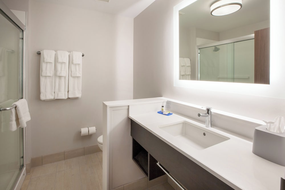 Holiday Inn Express & Suites - Gilbert - Mesa Gateway Airport 48/50